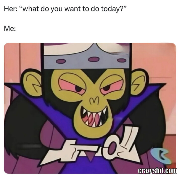 Today's Plans
