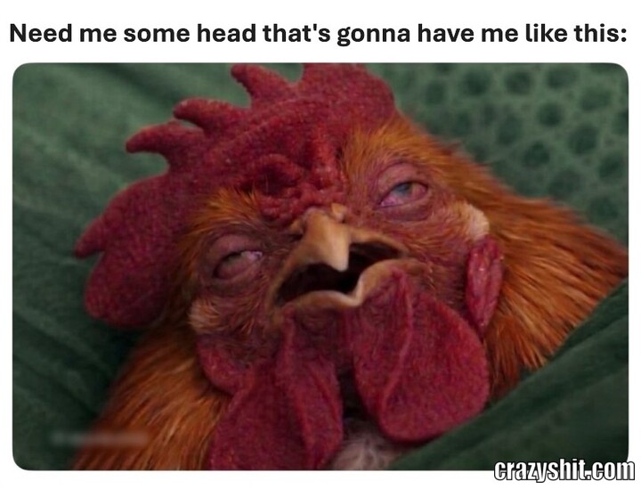 Cocky Chicken