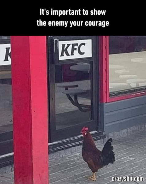 Don't Let Them Know Your Next Move