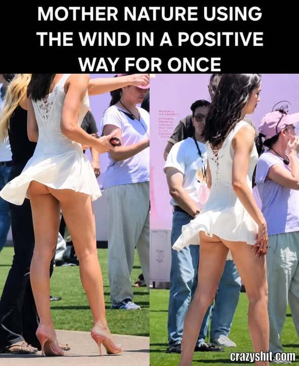 Nature's Horny Wind
