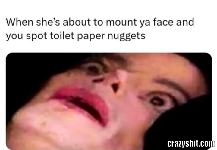 Toilet Nuggets