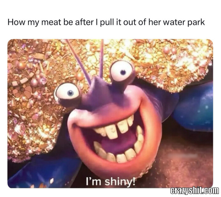 Shiny Meat