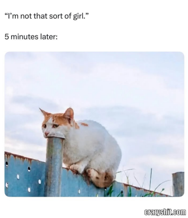 Not Like Other Girls