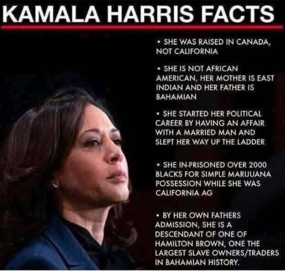 The best and brightest the Dems have to offer.