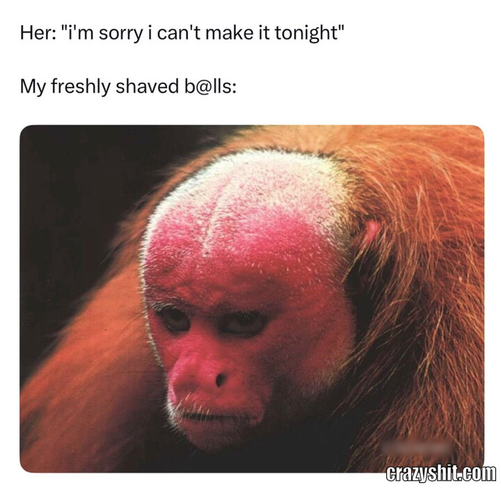 Shaved Balls