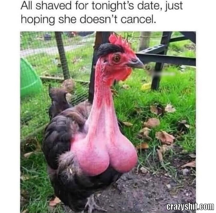 All Shaved For Tonight&rsquo;s Date