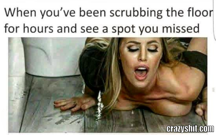 Floor Scrub
