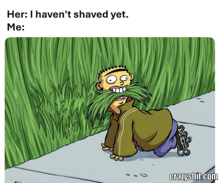 Unshaved Jungle