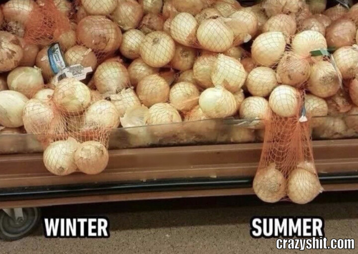 Summer Vs Winter