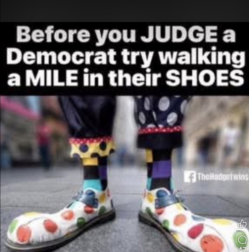 Liberal Democrat&rsquo;s official footwear