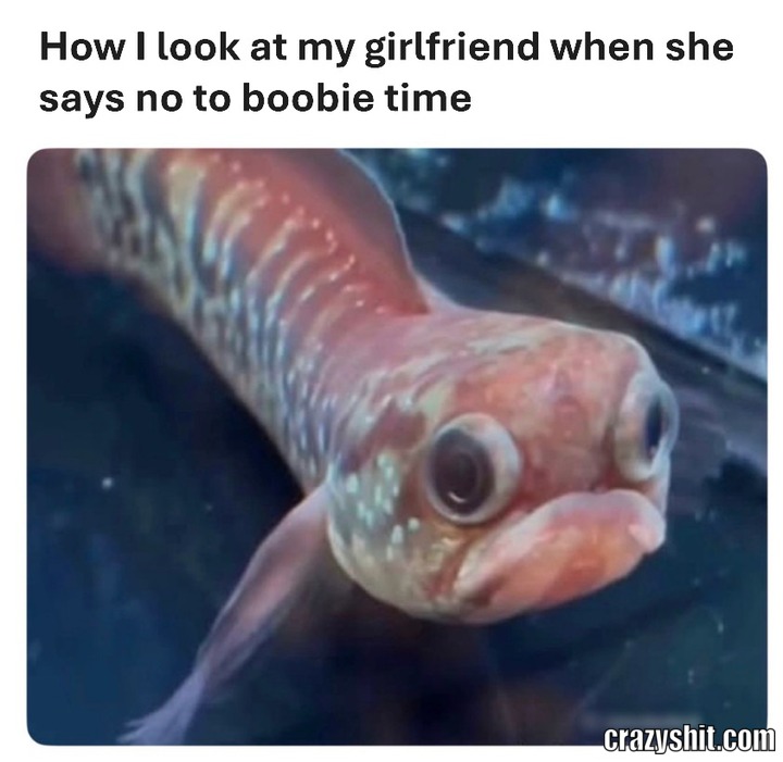 No Boobies