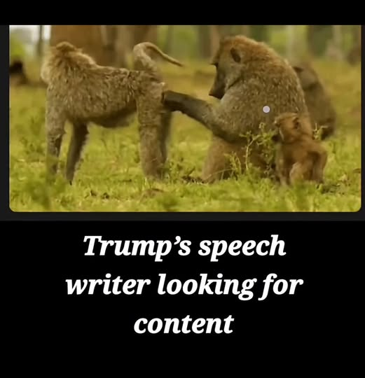 How Trump's speeches are written