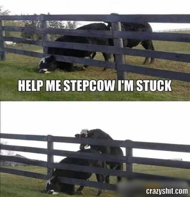Stepcow
