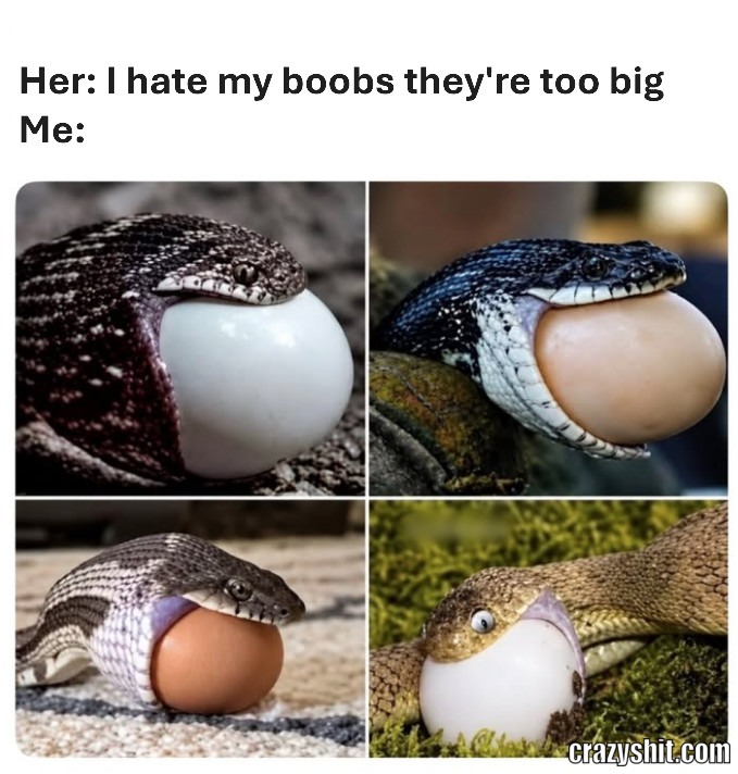 Big Boobs Enjoyer