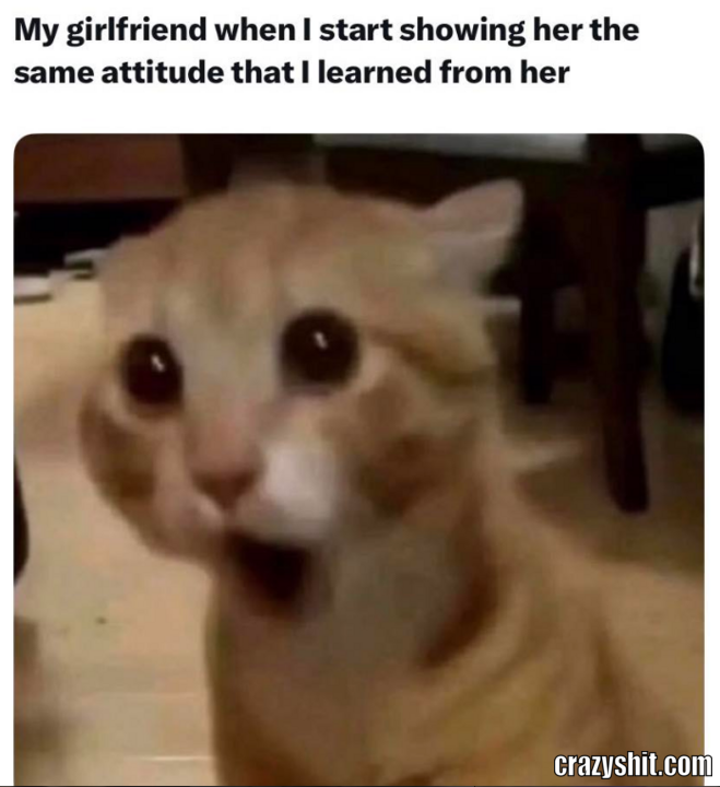 Reverse Attitude