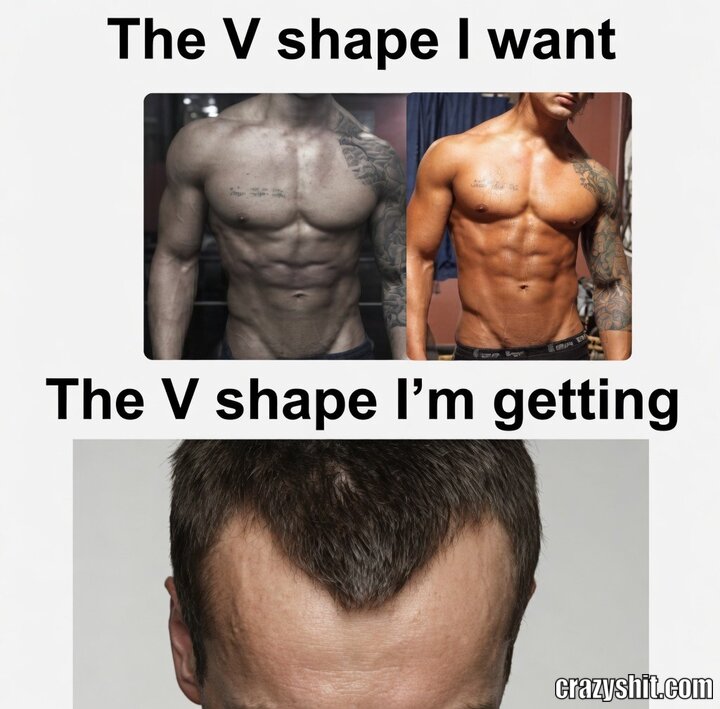 Expectations vs Reality