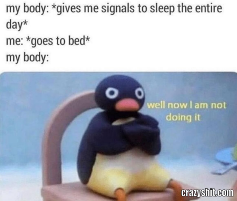 No Sleep