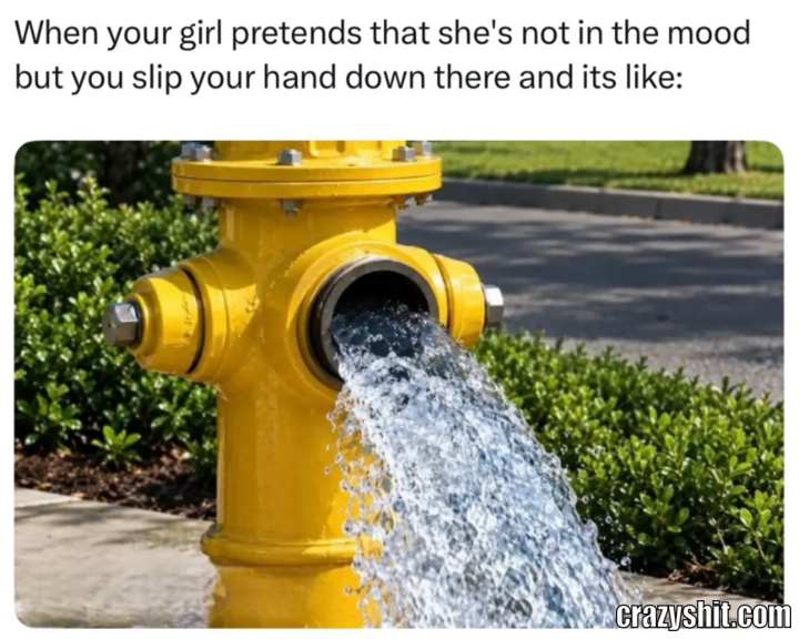 Definitely Not Horny