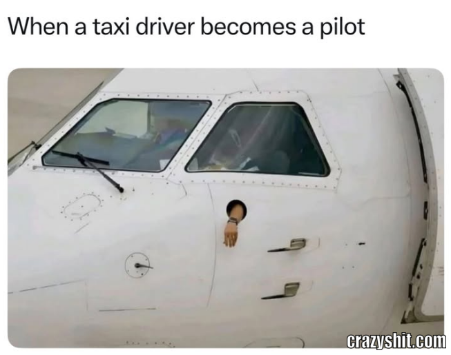 Taxi Pilot