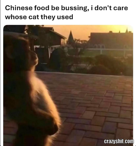 Chinese Food Rules