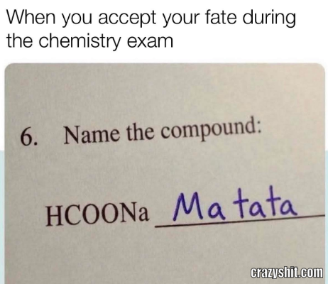 Hakuna Matata