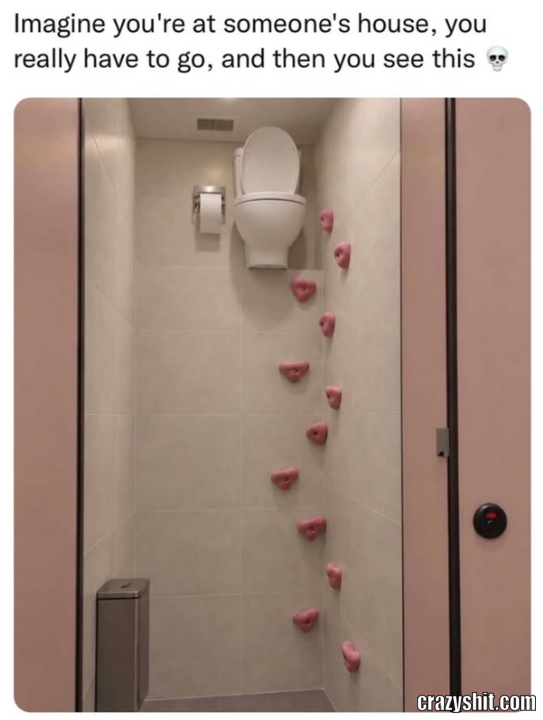 Toilet Emergency