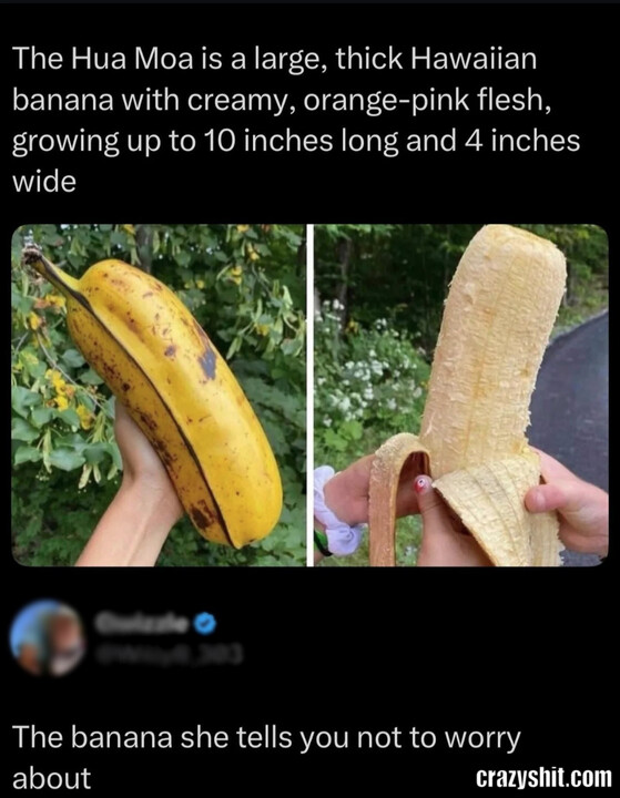 The Banana Not To Worry About