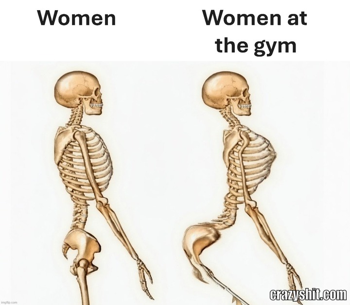 Gym Girls