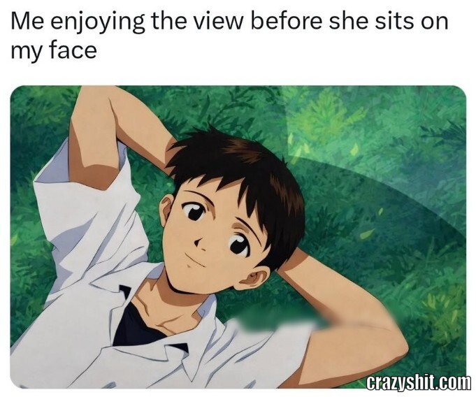 Enjoying The View