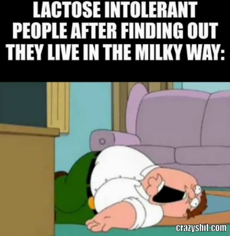 Milky Way Realization