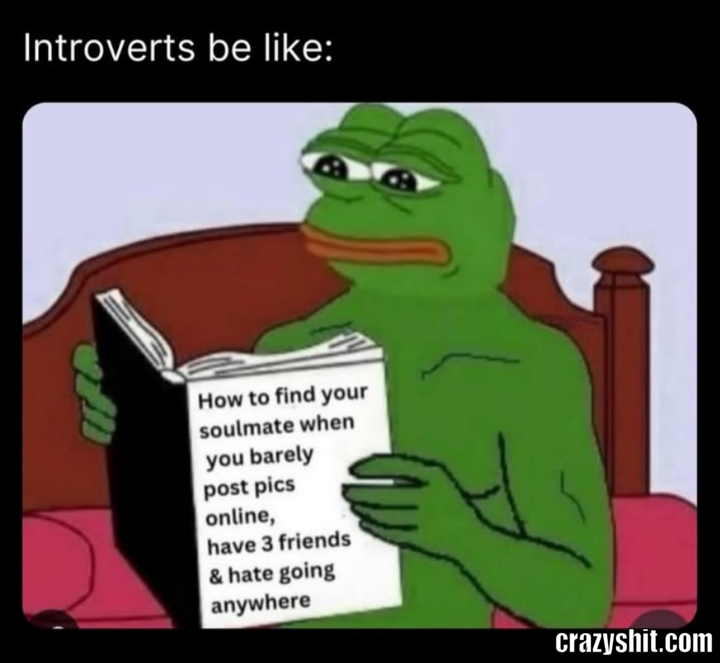 Introverts Be Like