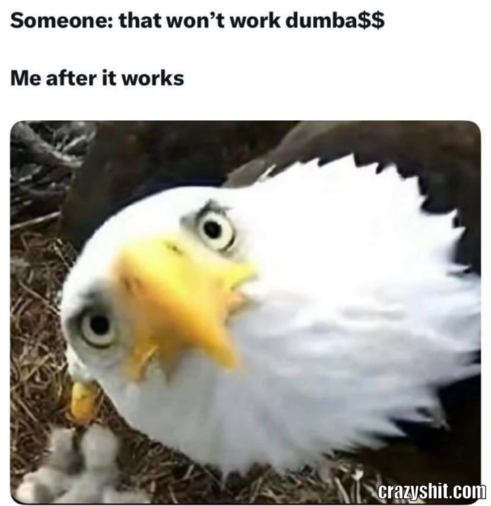 It Worked Dumbass
