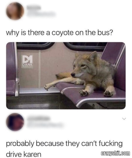 Coyote Bus Trip