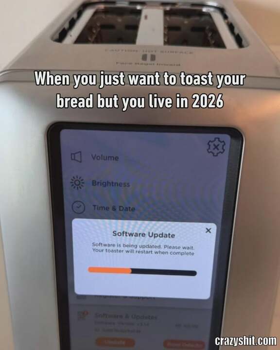 2026 Toaster