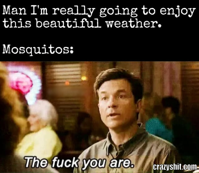 Mosquitos At It Again