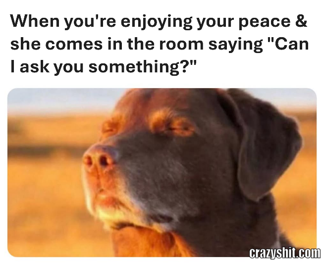 Peace Ruined