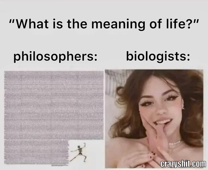The Meaning Of Life