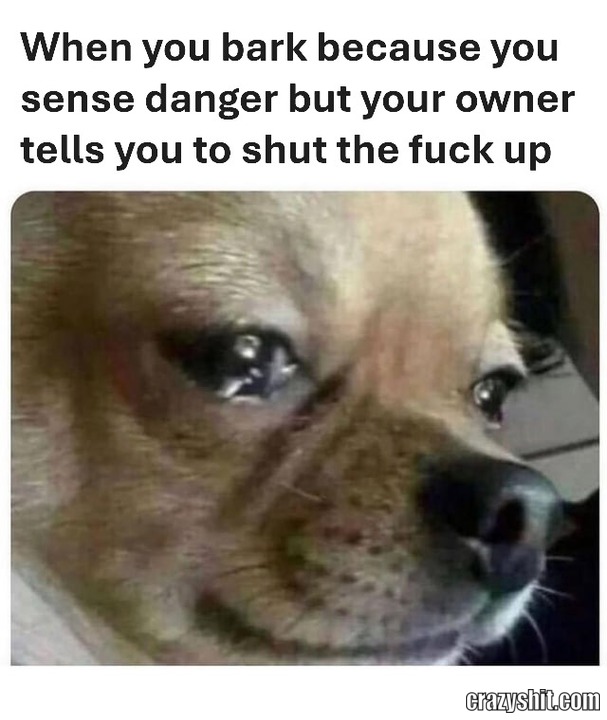 Bark Denied