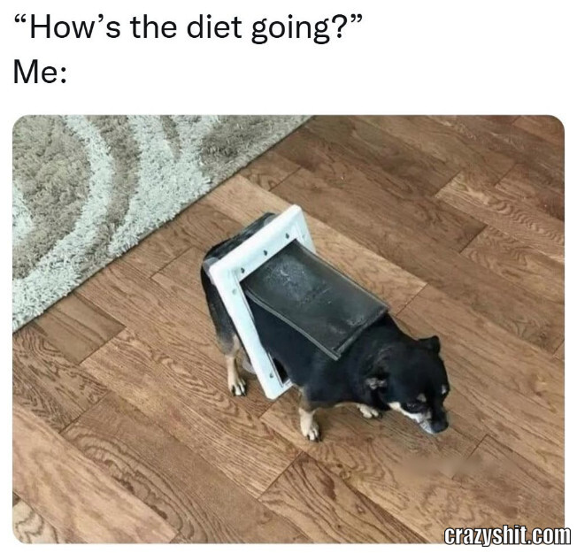 Dieting Be Like