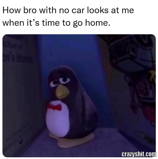 Bro No Car