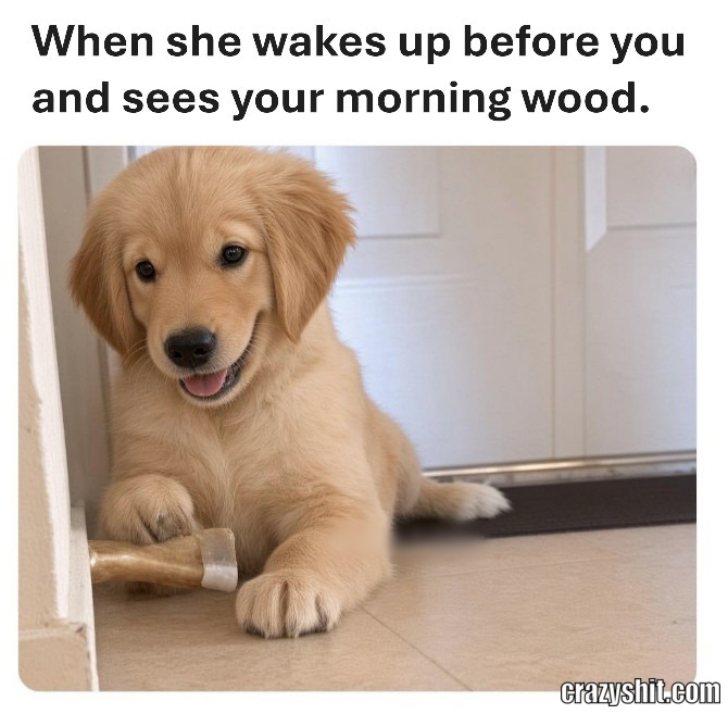 Morning Wood