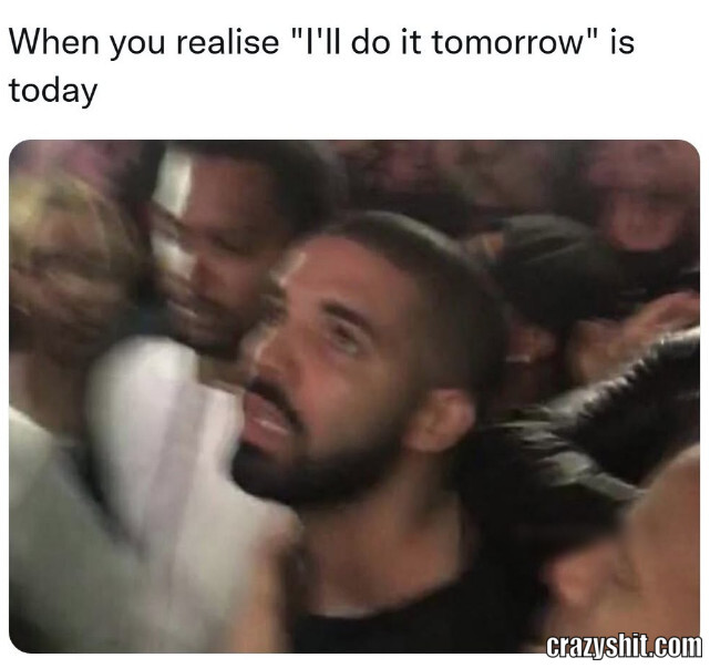 Procrastination Regret