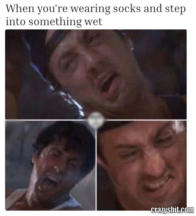 Wet Socks