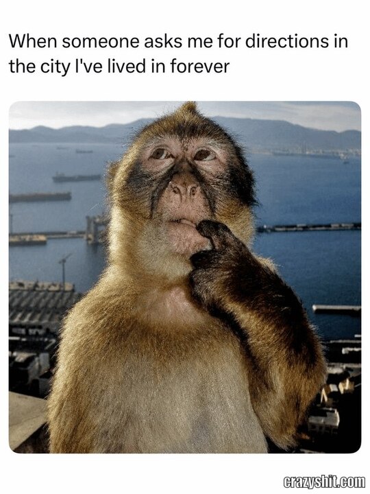 Sucking At Directions