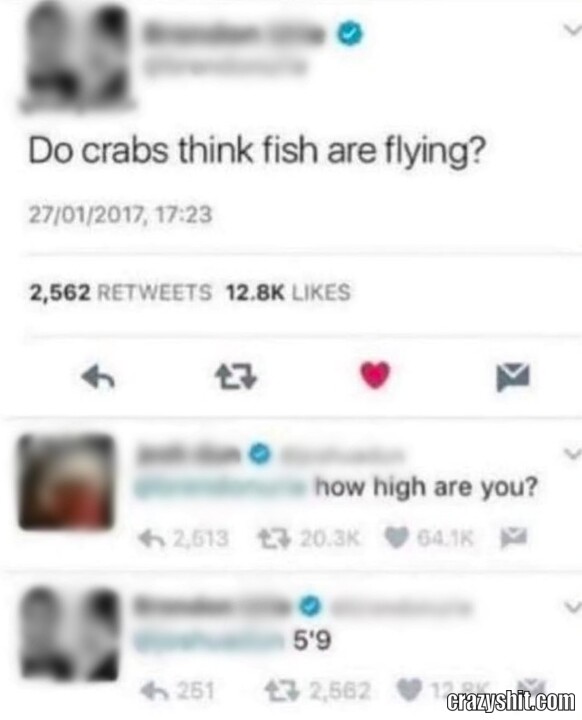 Flying Fish