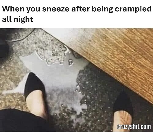 After Creampie Sneeze