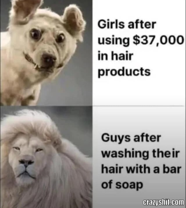 Hair Care