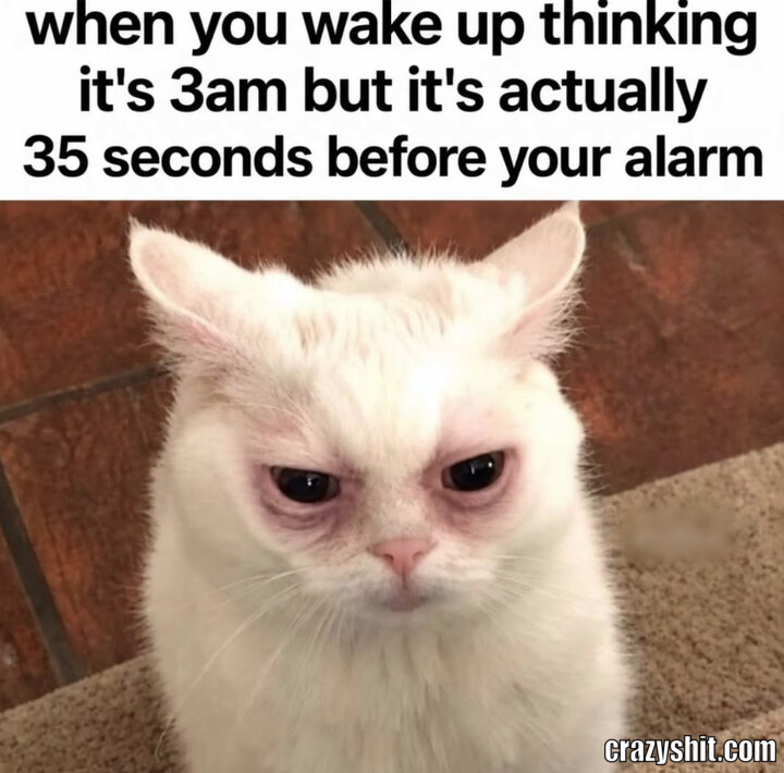 Not Enough Sleep