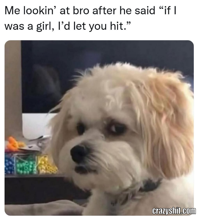 Sus Bro