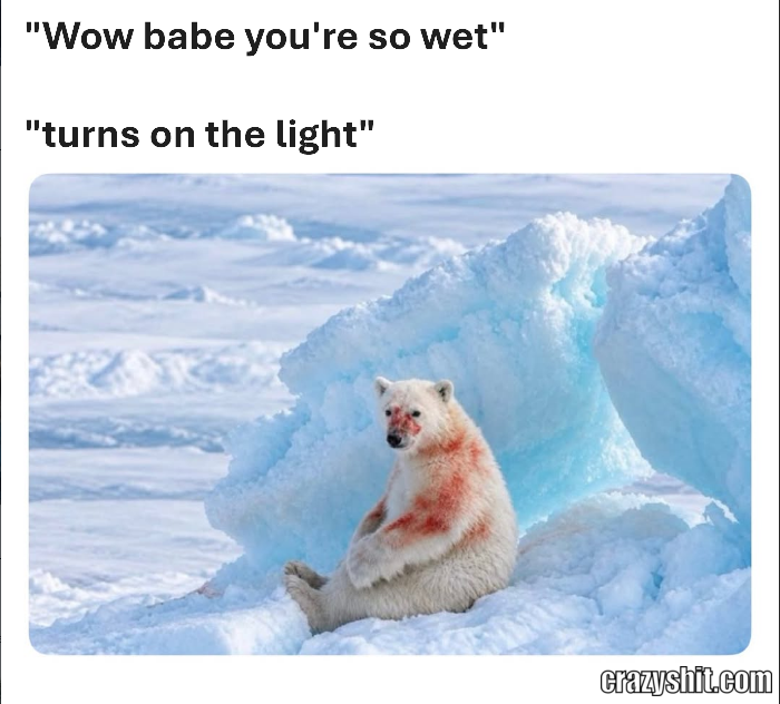 Wet Gone Wrong
